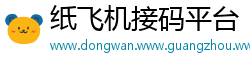 纸飞机接码平台